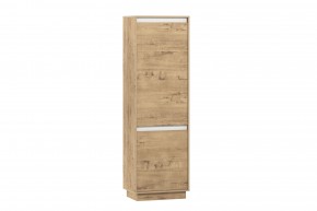 НМ 011.80-02 Шкаф для одежды в Трёхгорном - tryohgornyj.magazin-mebel74.ru | фото