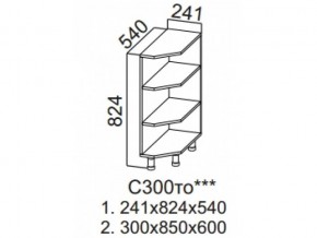 С300то Стол-рабочий 300 (торцевой открытый) в Трёхгорном - tryohgornyj.magazin-mebel74.ru | фото