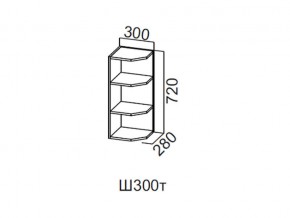 Ш300т/720 Шкаф навесной 300/720 (торцевой) в Трёхгорном - tryohgornyj.magazin-mebel74.ru | фото