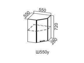 Ш550у/720 Шкаф навесной 550/720 (угловой) в Трёхгорном - tryohgornyj.magazin-mebel74.ru | фото