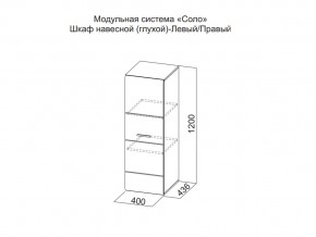 Шкаф навесной (глухой) Левый в Трёхгорном - tryohgornyj.magazin-mebel74.ru | фото