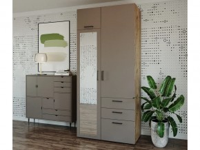 Шкаф распашной 1050К Мокко в Трёхгорном - tryohgornyj.magazin-mebel74.ru | фото