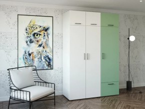 Шкаф распашной 1500Б Жемчуг-Фисташка в Трёхгорном - tryohgornyj.magazin-mebel74.ru | фото