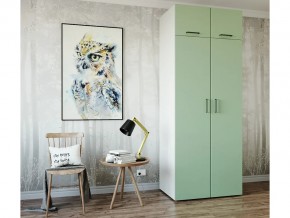 Шкаф распашной Ш9319Б Фисташка в Трёхгорном - tryohgornyj.magazin-mebel74.ru | фото